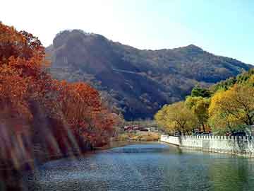 澳门精准正版免费大全14年新，日本大葱种植技术视频